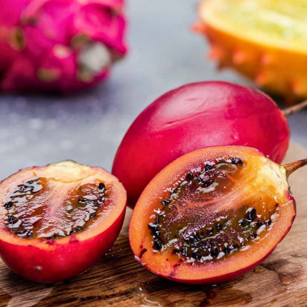 Nasiona Tamarillo ( Pomidor Drzewiasty ) - Cyphomandra Betacea