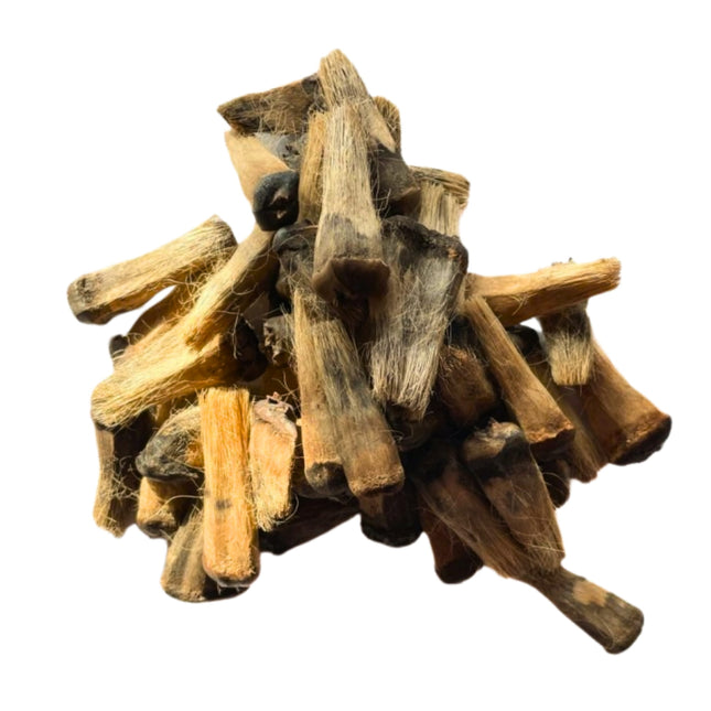 Nasiona Pandana Olbrzymiego - Pandanus Monotheca