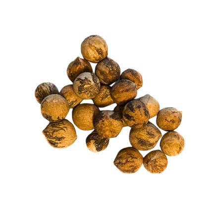 Nasiona Kopernicji Wielkojęzyczkowej - Copernicia Macroglossa