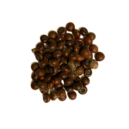Nasiona Texas Palmetto - Sabal Mexicana