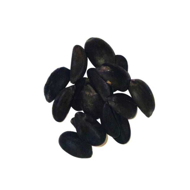 Nasiona Palmy Cukrowej - Arenga Pinnata