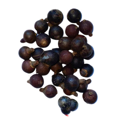 Nasiona Palmy Fiji - Pritchardia Pacifica