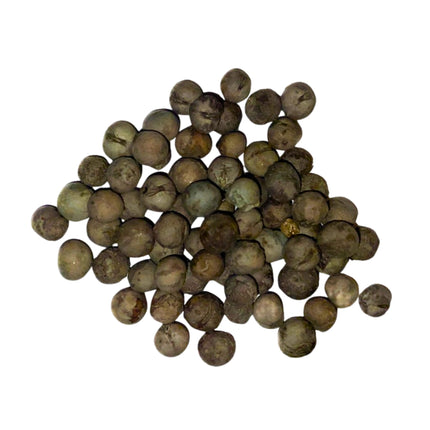 Nasiona Palmy Palczastej - Rhapis Multifida