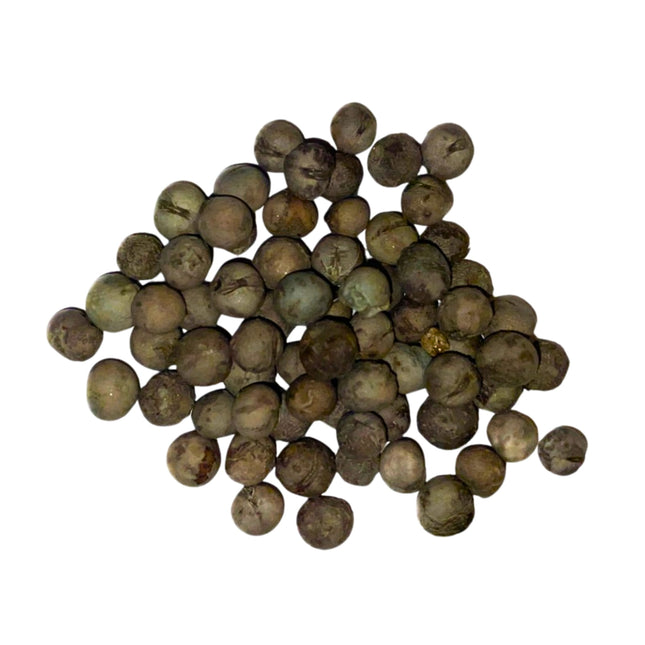 Nasiona Palmy Palczastej - Rhapis Multifida