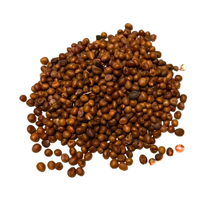 Nasiona Palmy Meksykańskiej - Washingtonia Robusta