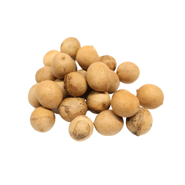 Nasiona Liwistonii Jenkinsiana - Livistona Jenkinsiana