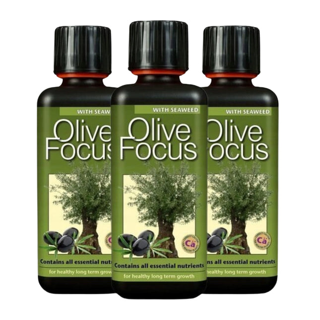 Olive Focus 300ml - nawóz do drzew oliwnych