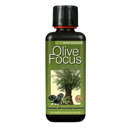 Olive Focus 300ml - nawóz do drzew oliwnych