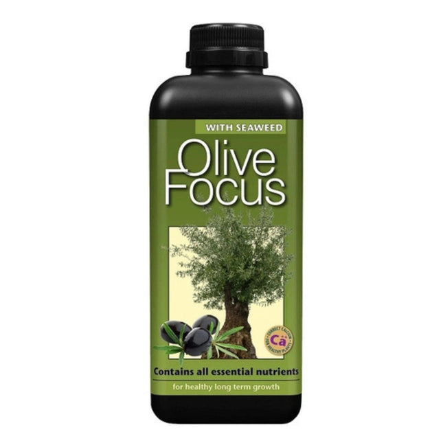 Olive Focus 1L - nawóz do drzew oliwnych