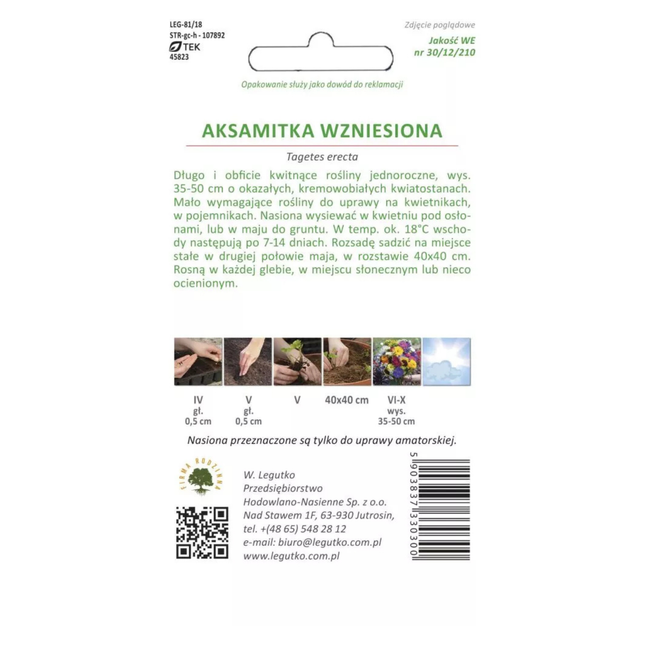 Aksamitka wzniesiona kremowo-biała - Tagetes erecta