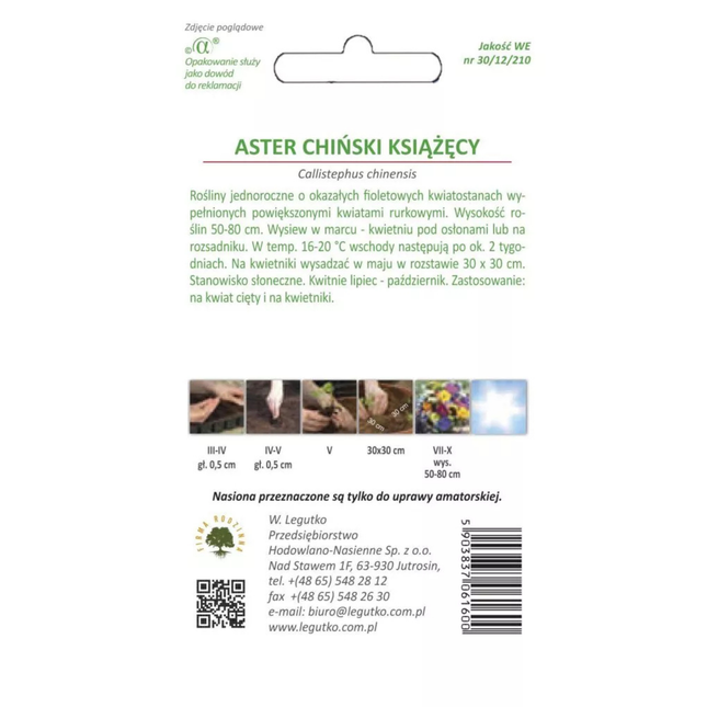 Aster chiński Książęcy fioletowy - Callistephus chinensis
