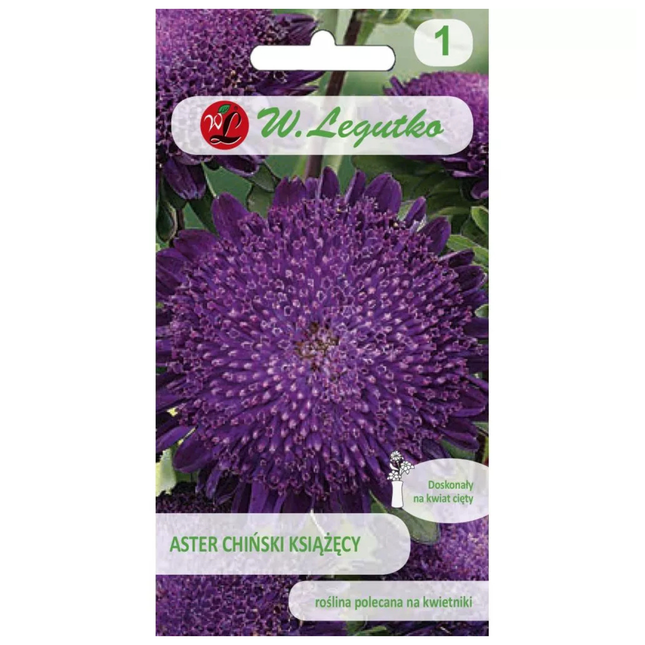 Aster chiński Książęcy fioletowy - Callistephus chinensis