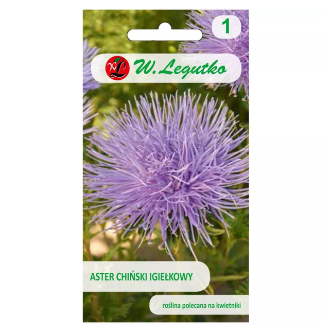 Aster chiński igiełkowy niebieski - Callistephus chinensis