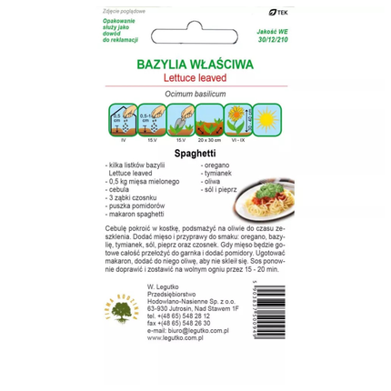 Bazylia właściwa Lettuce Leaved - Ocimum basilicum