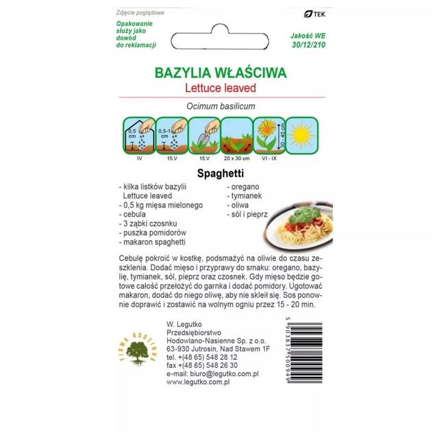 Bazylia właściwa Lettuce Leaved - Ocimum basilicum