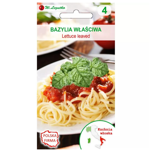 Bazylia właściwa Lettuce Leaved - Ocimum basilicum