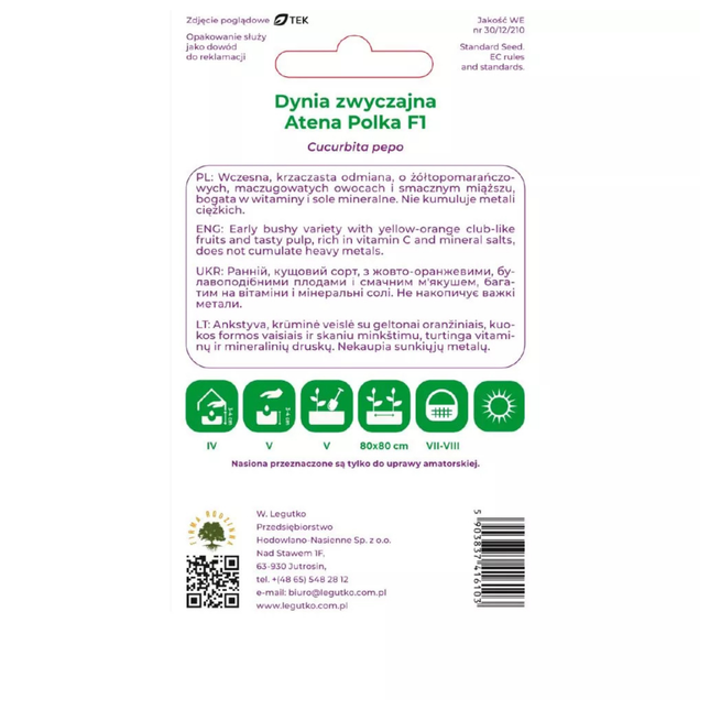 Tikvica Atena Polka F1 - Cucurbita pepo