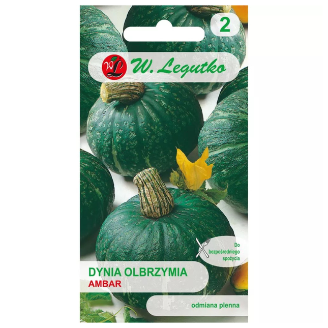 Divovska tikva Ambar - Cucurbita maxima