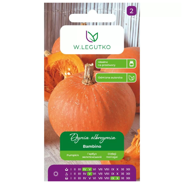 Divovska tikva Bambino - Cucurbita maxima