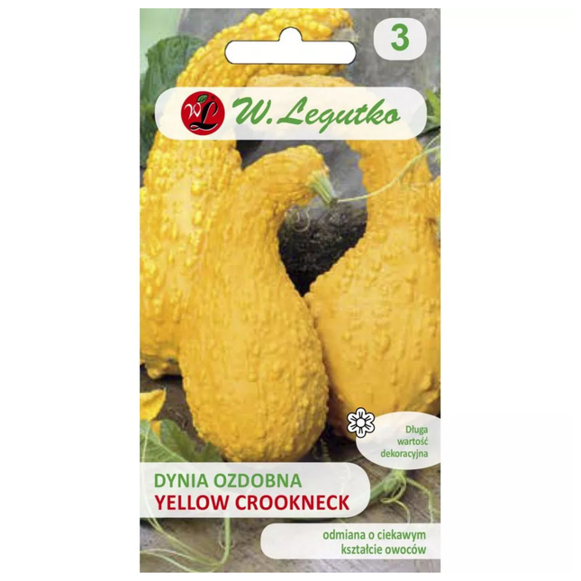 Ukrasna tikva Yellow Crookneck - Cucurbita pepo