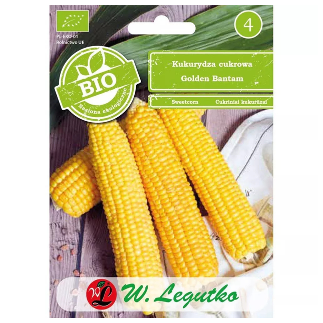 BIO šećerna kukuruz Golden Bantam - Zea mays convar. saccharata