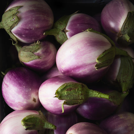 Bakłażan biało-różowy Rotonda Bianca Sfumata di Rosa BIO - Solanum melongena