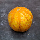 Ogórek cytrynowy Lemon BIO - Cucumis sativus