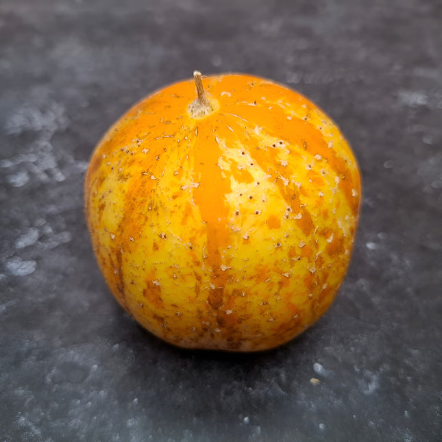 Ogórek cytrynowy Lemon BIO - Cucumis sativus