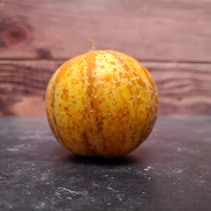 Ogórek cytrynowy Lemon BIO - Cucumis sativus
