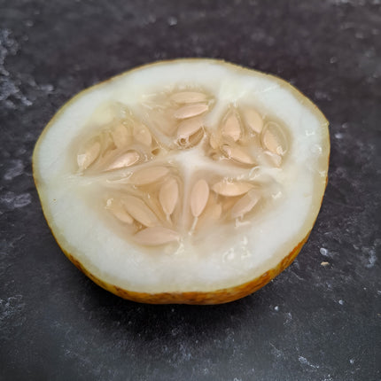 Ogórek cytrynowy Lemon BIO - Cucumis sativus