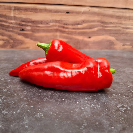 Papryka ostra Espelette BIO - Capsicum annuum