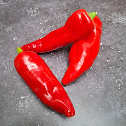 Papryka ostra Espelette BIO - Capsicum annuum