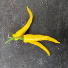 Papryka ostra żółta Cayenne BIO - Capsicum annuum