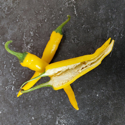 Papryka ostra żółta Cayenne BIO - Capsicum annuum