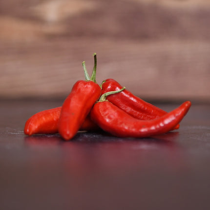 Papryka ostra Fish Pepper BIO - Capsicum annuum