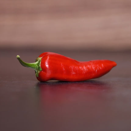 Papryka ostra Fish Pepper BIO - Capsicum annuum