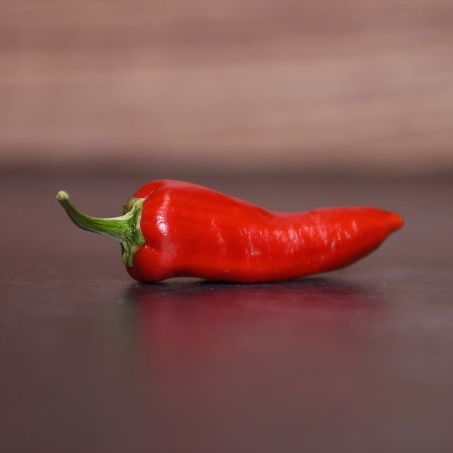 Papryka ostra Fish Pepper BIO - Capsicum annuum