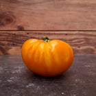 Pomidor wysoki pomarańczowy Pamplemousse du Grand-Père BIO - Solanum lycopersicum
