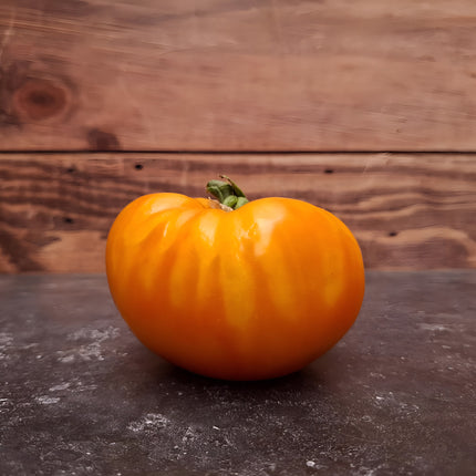 Pomidor wysoki pomarańczowy Pamplemousse du Grand-Père BIO - Solanum lycopersicum