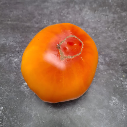 Pomidor wysoki pomarańczowy Pamplemousse du Grand-Père BIO - Solanum lycopersicum