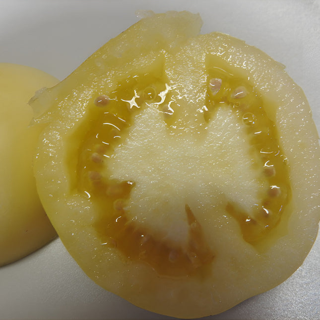 Pomidor wysoki biały Blanche de Picardie BIO - Solanum lycopersicum