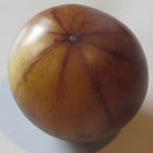 Pomidor wysoki Great White Blue BIO - Solanum lycopersicum