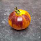 Pomidor wysoki Wolverine BIO - Solanum lycopersicum