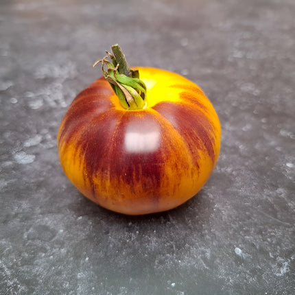 Pomidor wysoki Wolverine BIO - Solanum lycopersicum