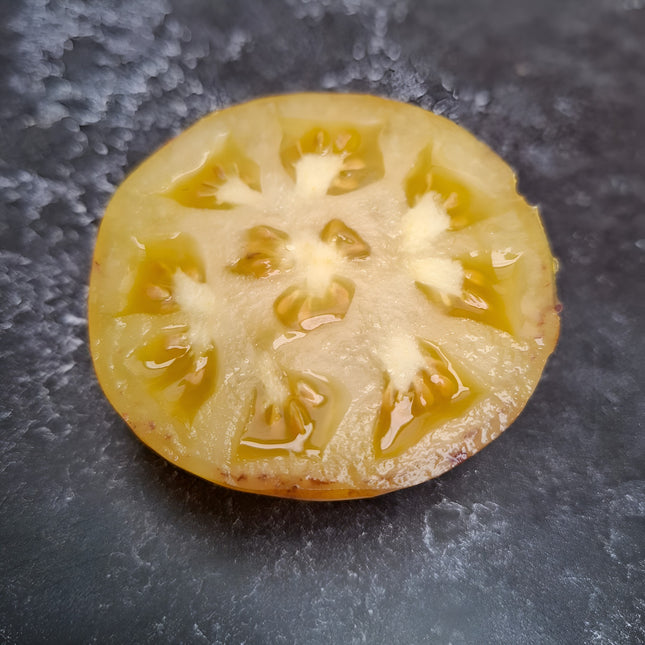 Pomidor wysoki Wolverine BIO - Solanum lycopersicum