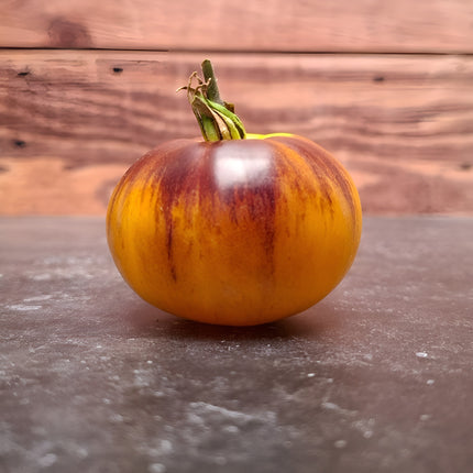 Pomidor wysoki Wolverine BIO - Solanum lycopersicum