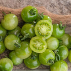 Pomidor koktajlowy zielony Green Doctor Frosted BIO - Solanum lycopersicum
