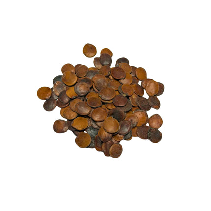 Nasiona Glicirydii Meksykańskiej (Gliricidia sepium)