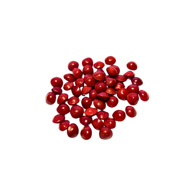 Nasiona Gruczołkowca Pawiego (Adenanthera pavonina)