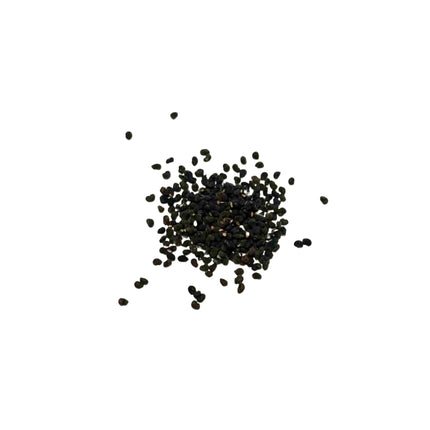 Nasiona Kaktusa Chichipe (Polaskia chichipe)